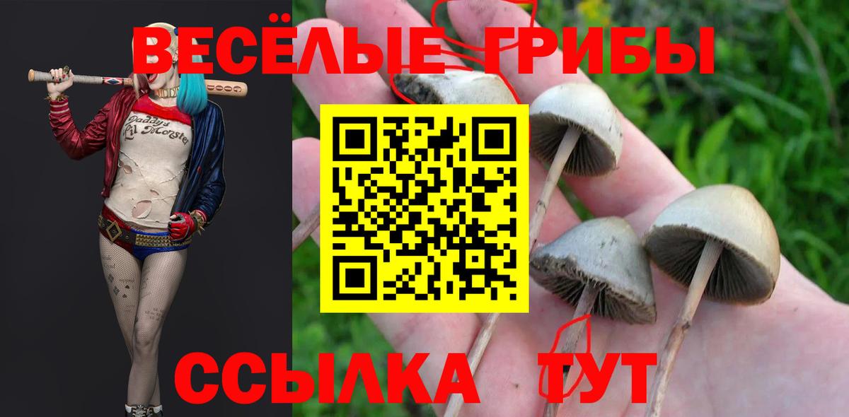 Галлюциногенные грибы Psilocybine cubensis  Псилоцибиновые грибы Magic Shrooms  Вход с VPN  Элиста 